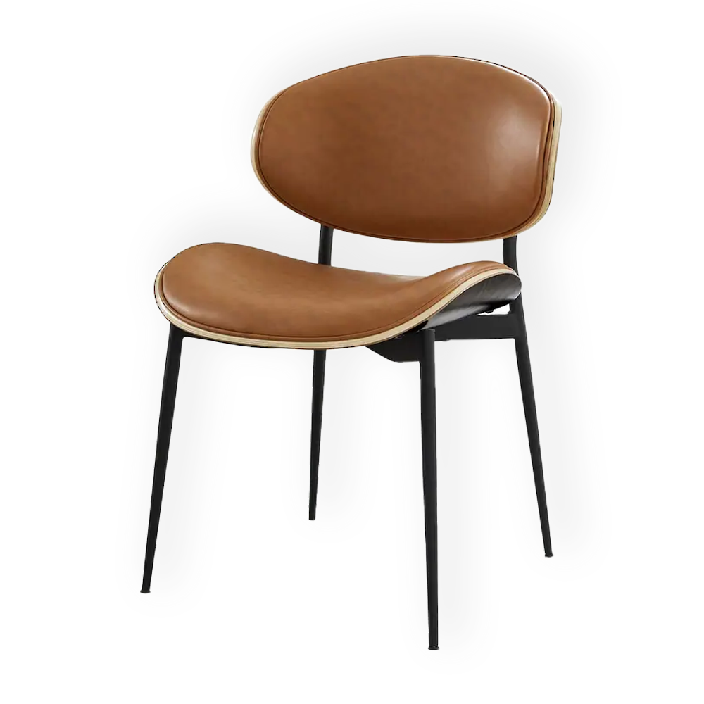 Mid-century Modern Dining Chairs