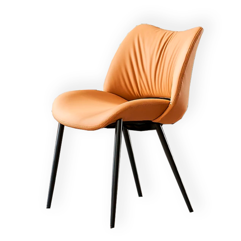 Modern Dining Kitchen Chairs