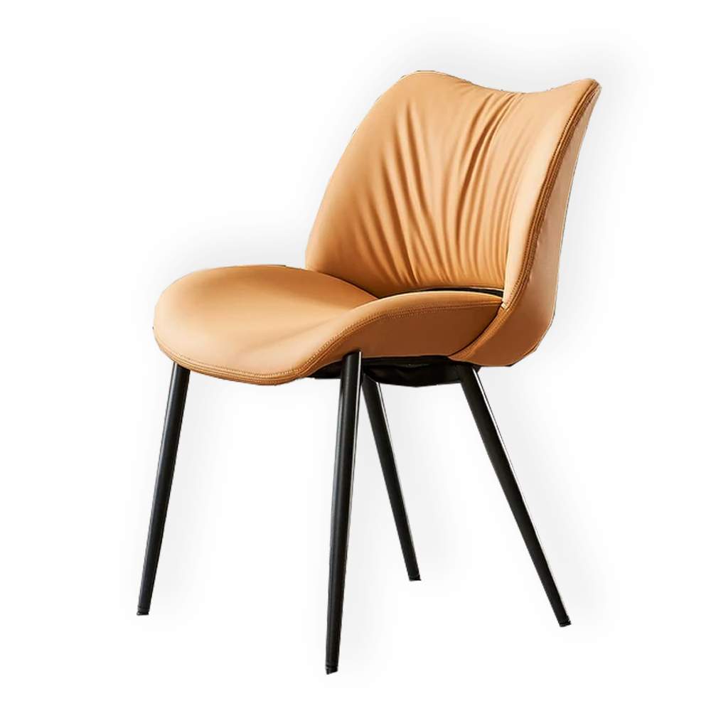 Modern Dining Kitchen Chairs