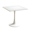 Modern Wood Dining Table with Metal Tulip Base